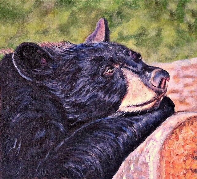 Bear